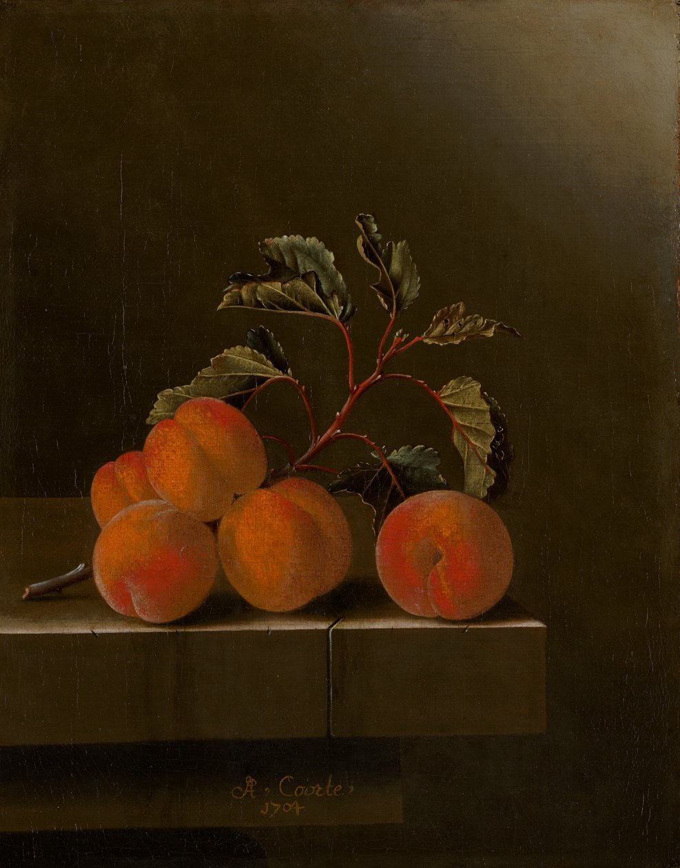 Stilleben med fem abrikoser, 1704 af Adrian Coorte