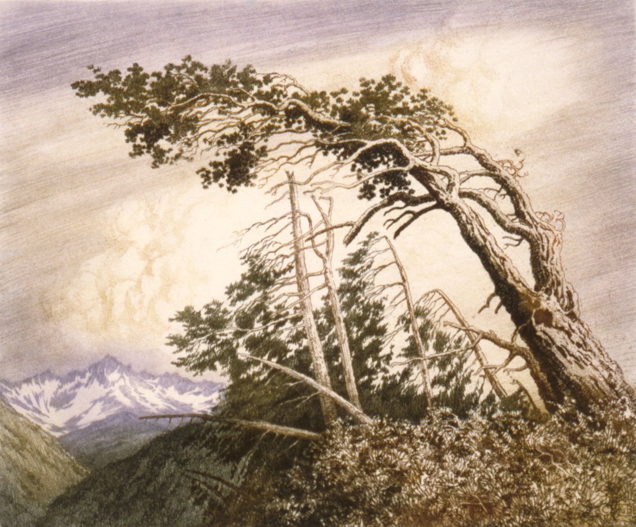 Vindenes hjem [nr. 2] af George Elbert Burr