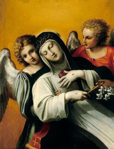 Sankt Catherines bortrykkelse af Agostino Carracci