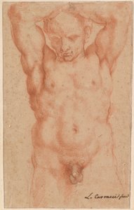 Mand nøgen af Agostino Carracci