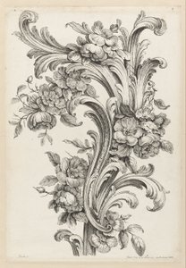 Floral og Acanthus Leaf Design af Alexis Peyrotte