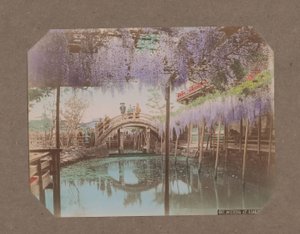 Folk på en bro, med blåregn blomstrende i forgrunden, i Kameido, Tokyo, Japan af Kusakabe Kimbei
