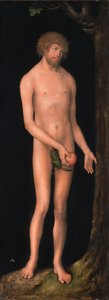 Tysk: Adam Adam af Lucas Cranach the Elder