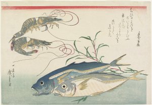 Rejer, hestemakrel og tang, 1832-1833