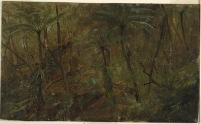 I skoven, Jamaica af Frederic Edwin Church