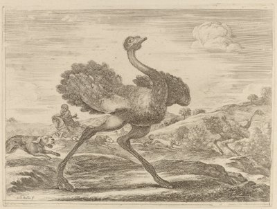 Strudsejagt af Stefano della Bella